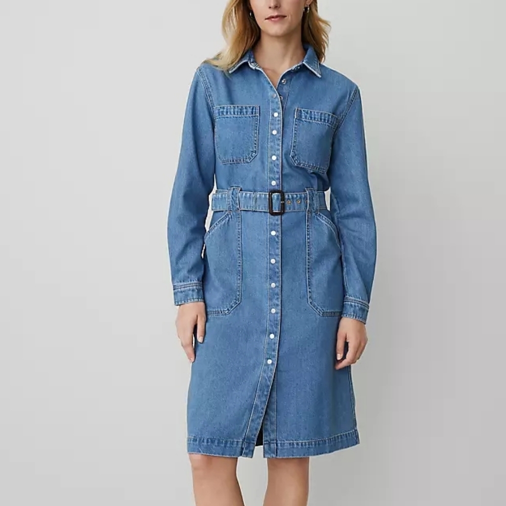 Ann Taylor  Denim Dress